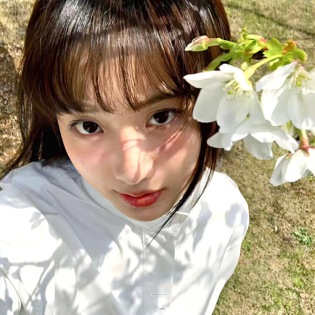 空中浩劫第十五季