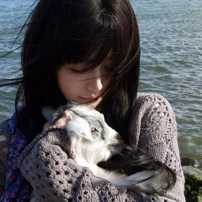 迎风而立的狮子